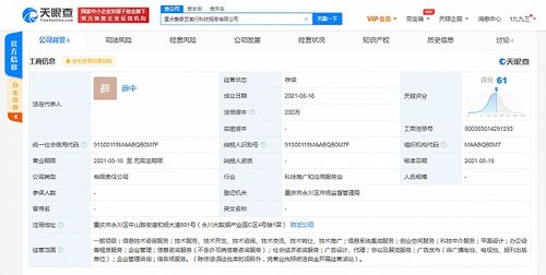愛奇藝在重慶成立科技公司，拓展創業空間與信息系統集成服務